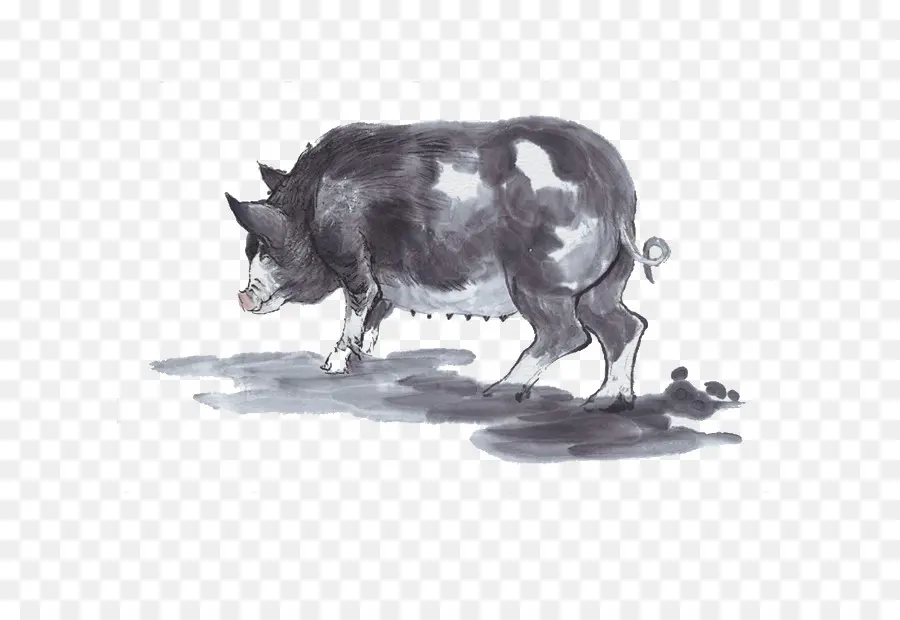 Cerdo Doméstico，Cerdo PNG