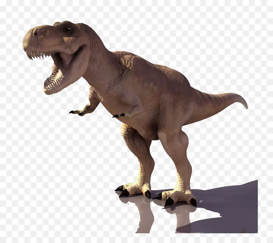 Combate De Gigantes Dinosaurios 3d，Tyrannosaurus PNG