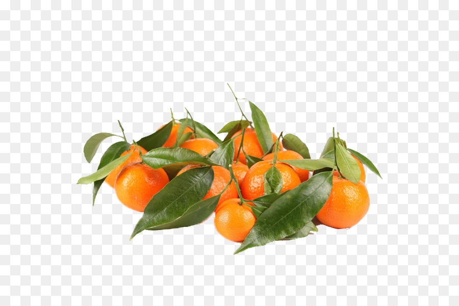 Clementine，Mandarina PNG