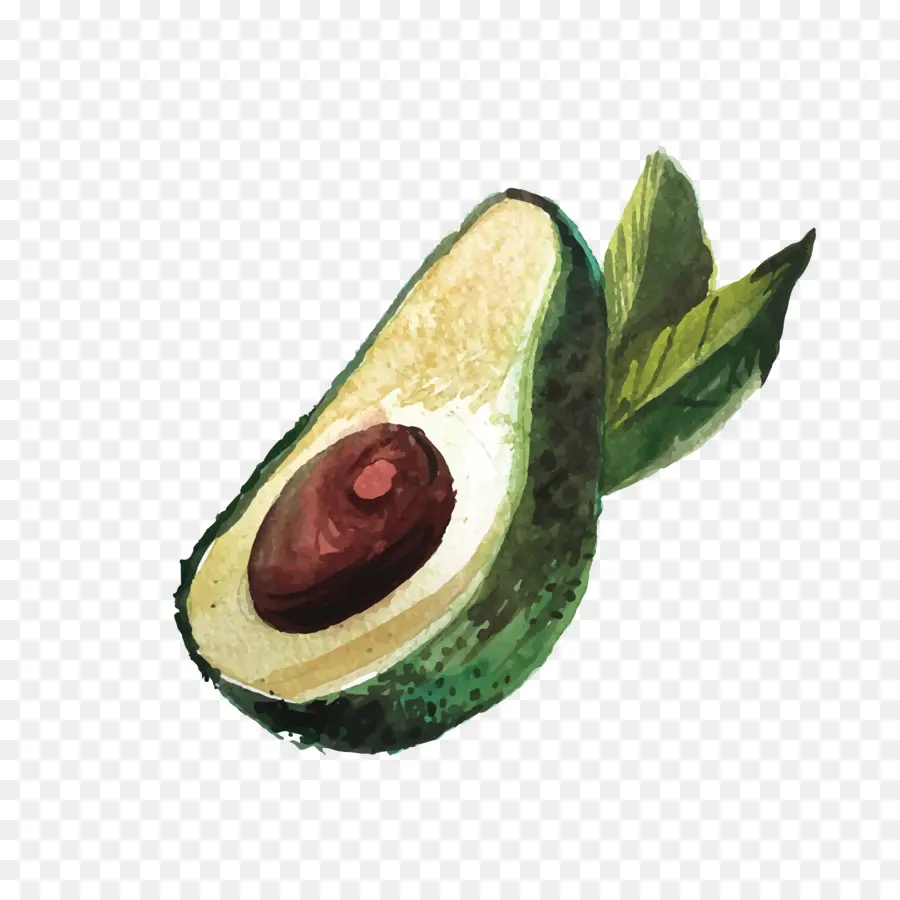 Aguacate，Dibujo PNG