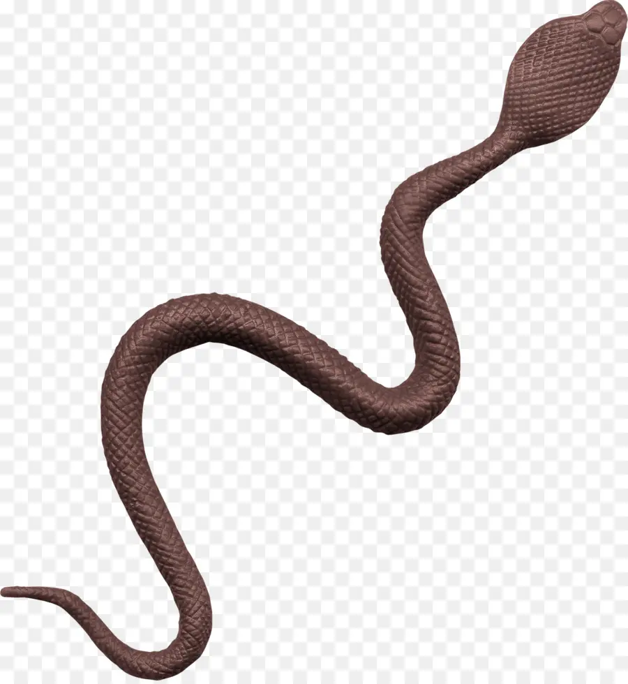 La Serpiente，Kingsnakes PNG