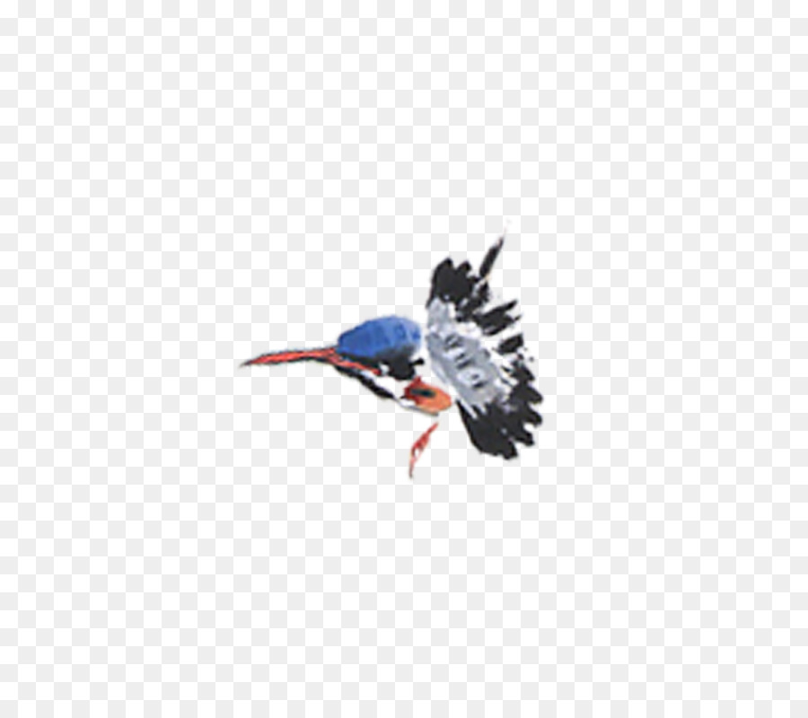 Pájaro Volador，Vuelo PNG