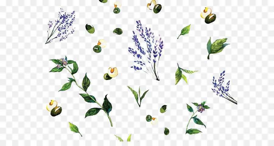 Lavanda Y Hojas，Púrpura PNG