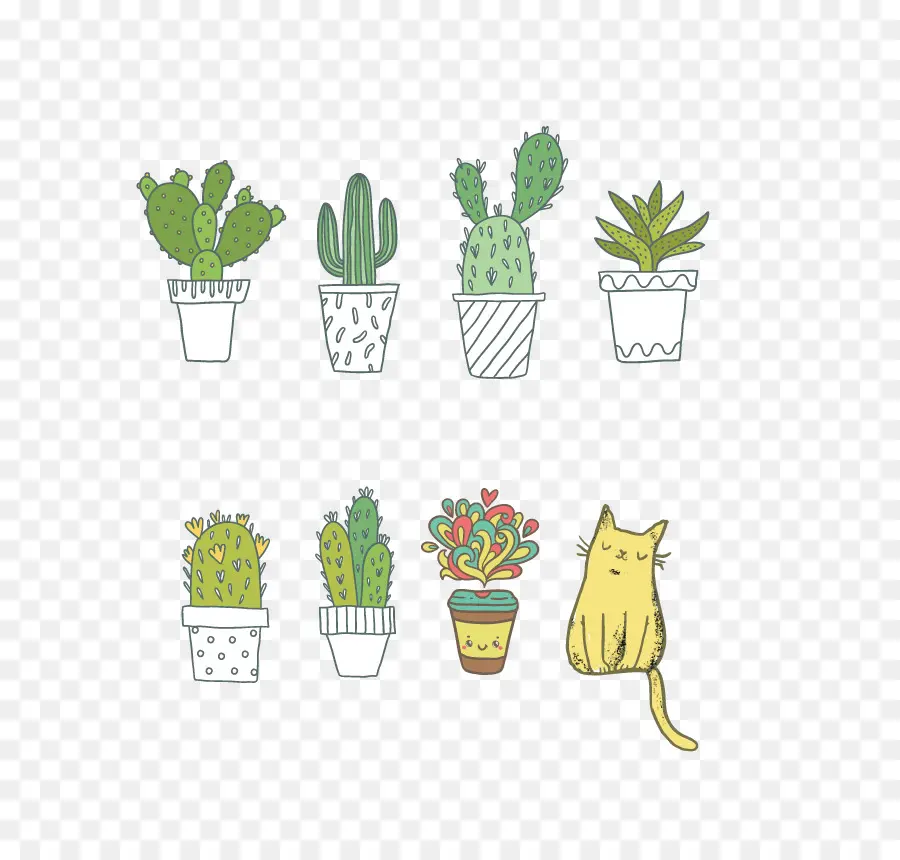 Camiseta，Cactaceae PNG