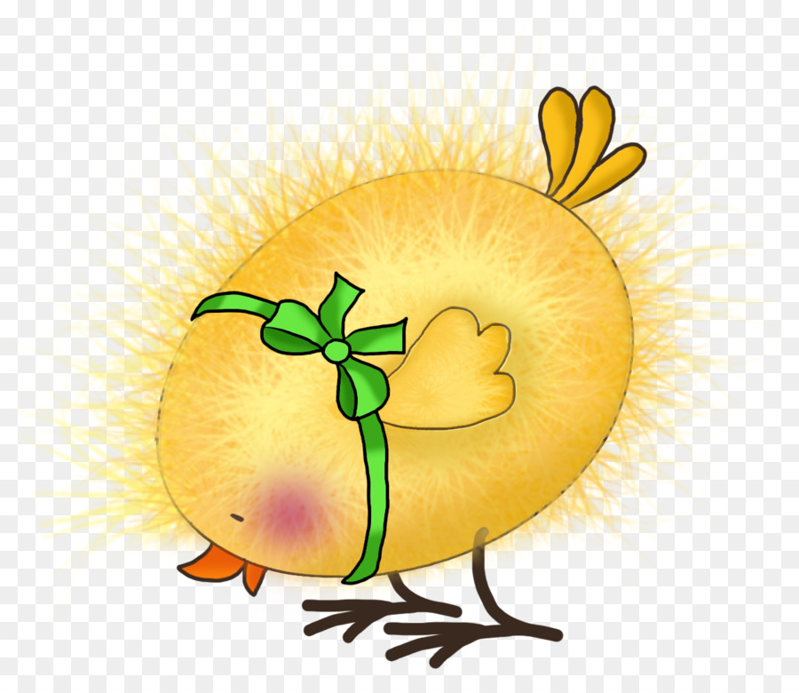 Pollo，Pascua PNG