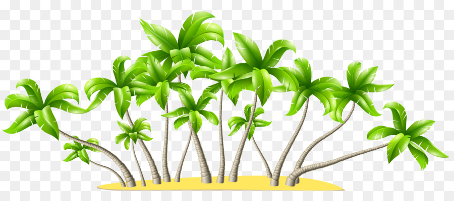 Arecaceae，Árbol PNG