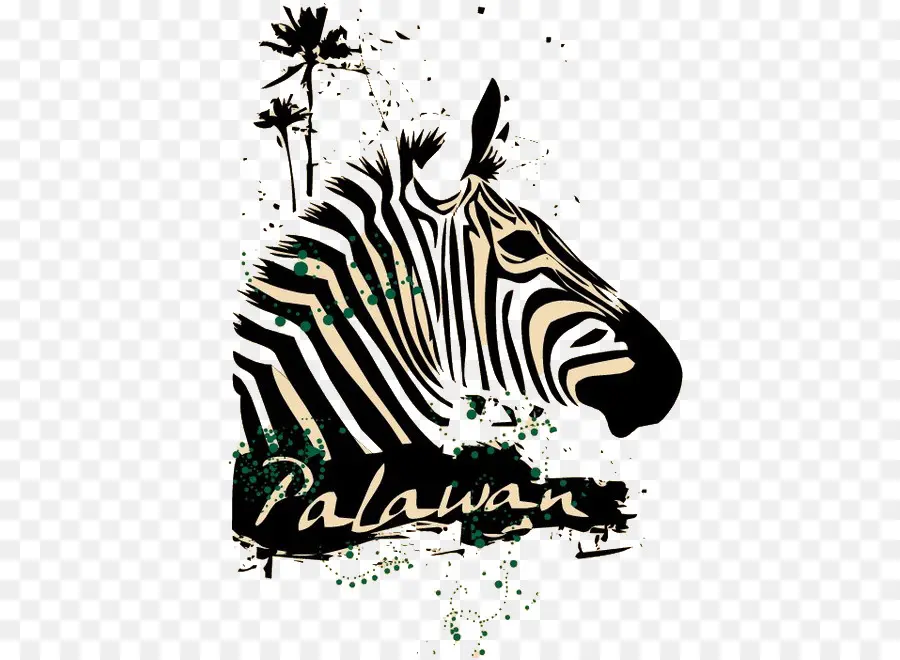 Caballo，Zebra PNG