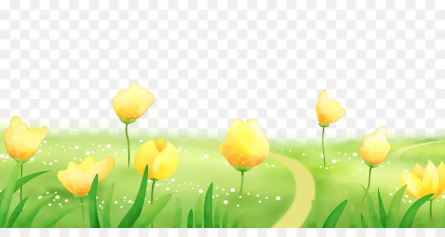 Tulip，Planta PNG