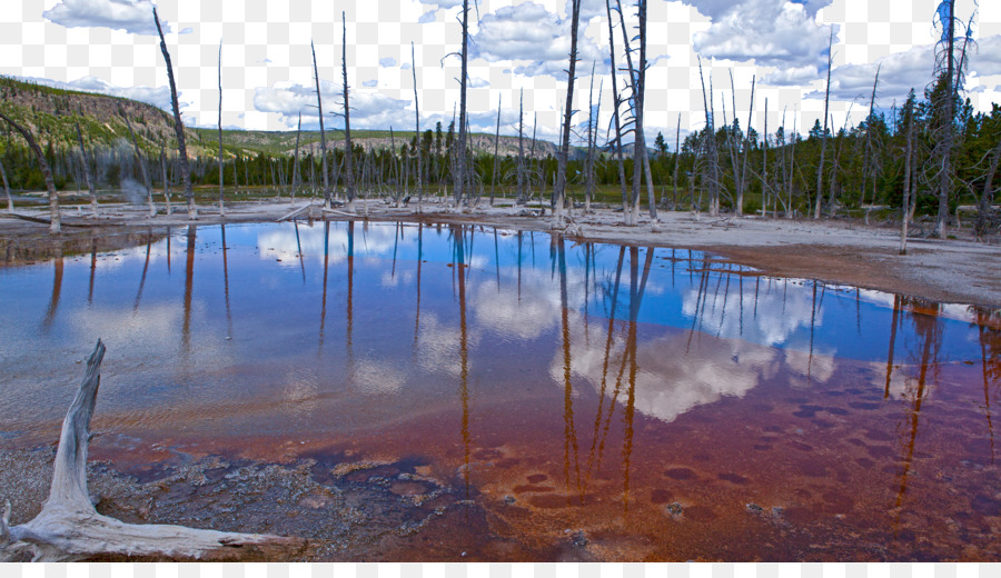 El Parque Nacional De Yellowstone，Canción PNG