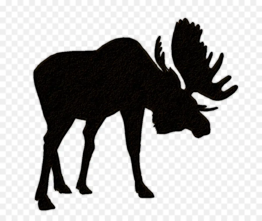Alce，Elk PNG