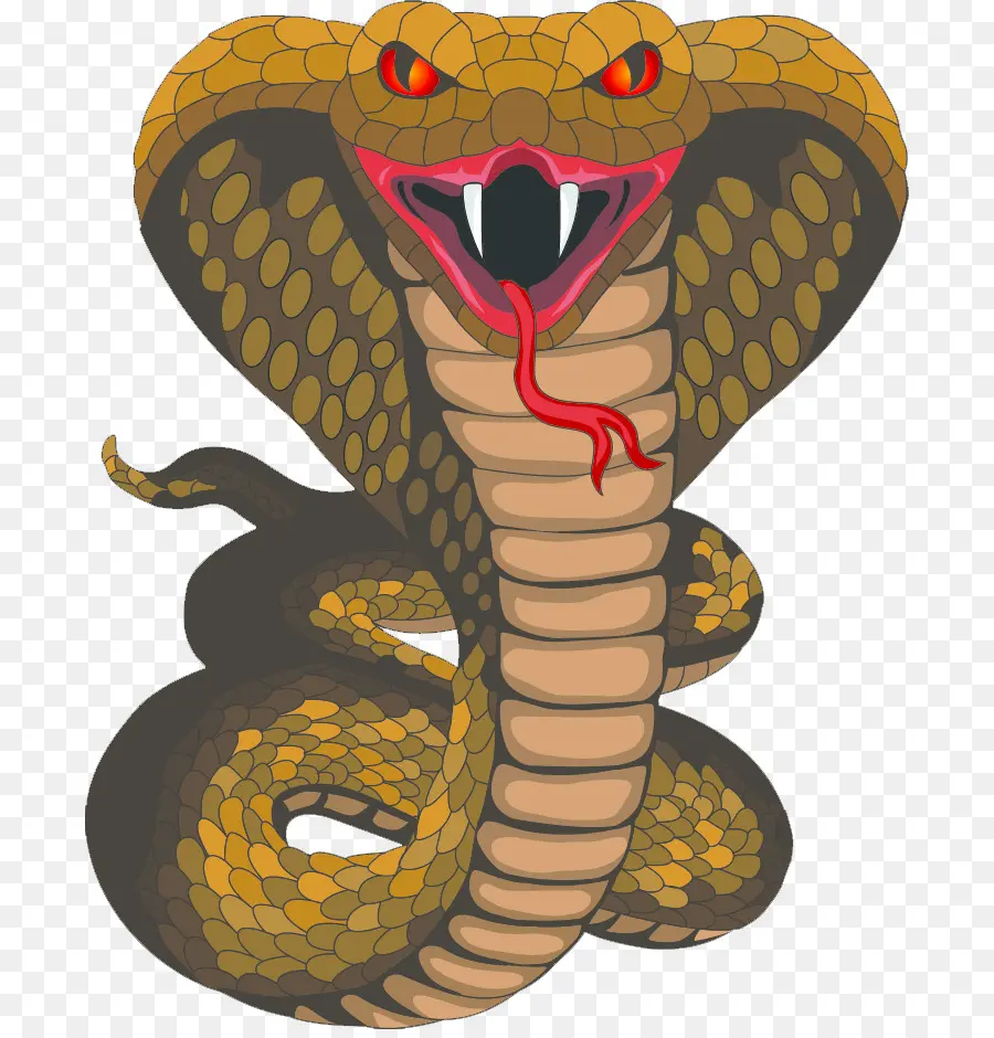 King Cobra，La Serpiente PNG