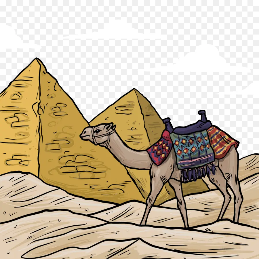 Las Pirámides De Egipto，Camello Bactriano PNG