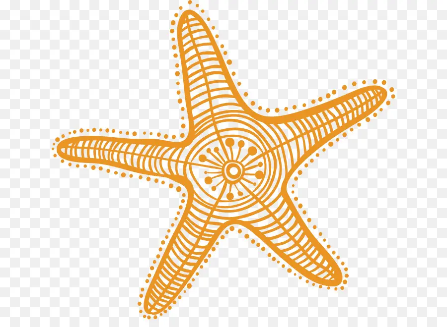 Estrella De Mar，Marina PNG