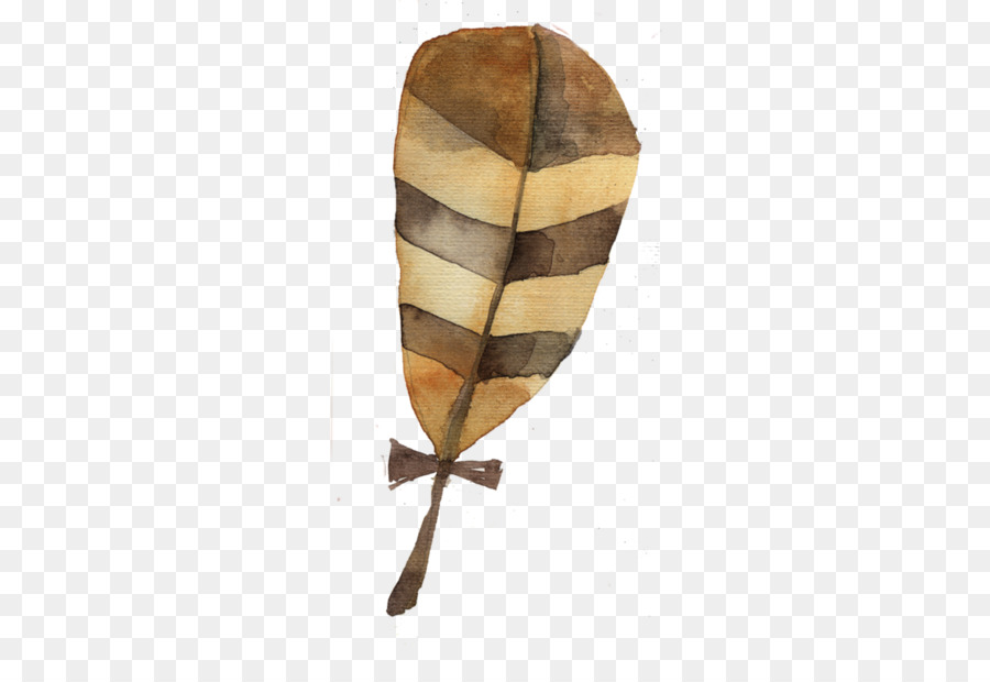 Flotación De La Pluma，Pluma PNG