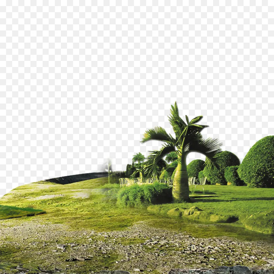 Paisaje，árboles PNG