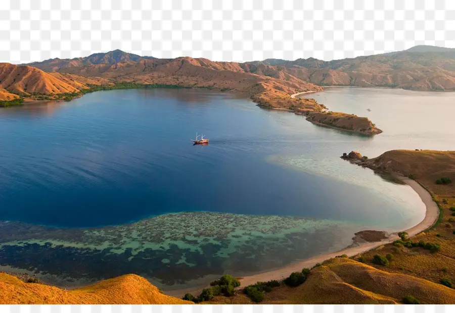 Komodo，Rinca PNG