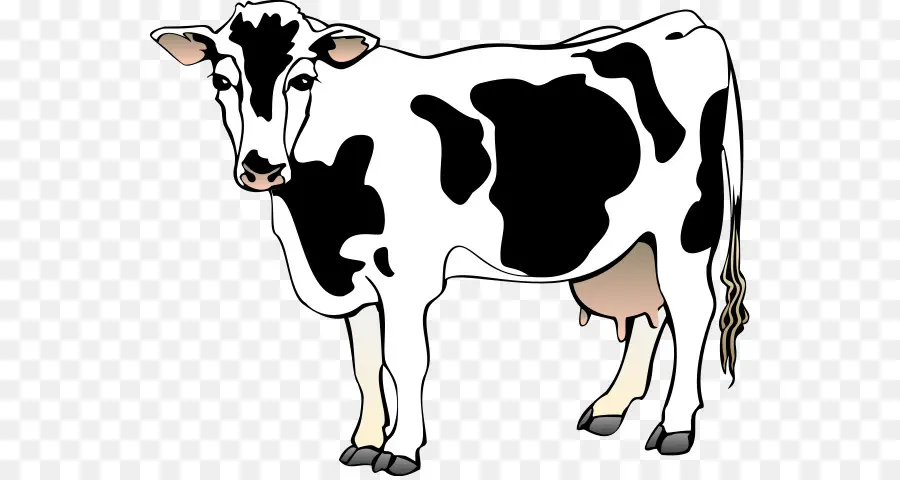 Ganado Holstein Friesian，Libre De Contenido PNG