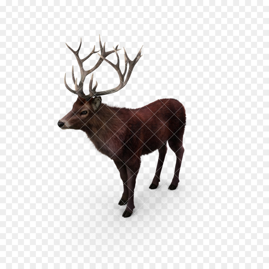 Reindeer，Obras PNG