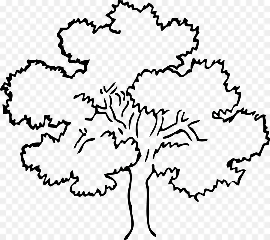 Contorno Del árbol，Bosquejo PNG