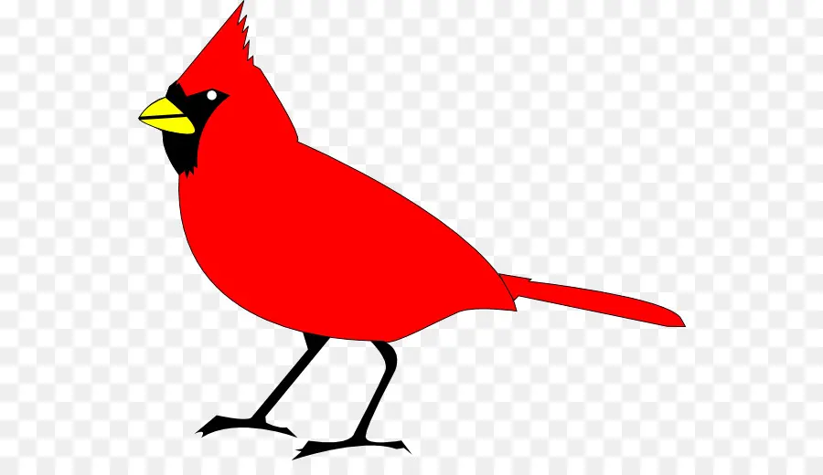 Cardenal Del Norte，St Louis Cardinals PNG