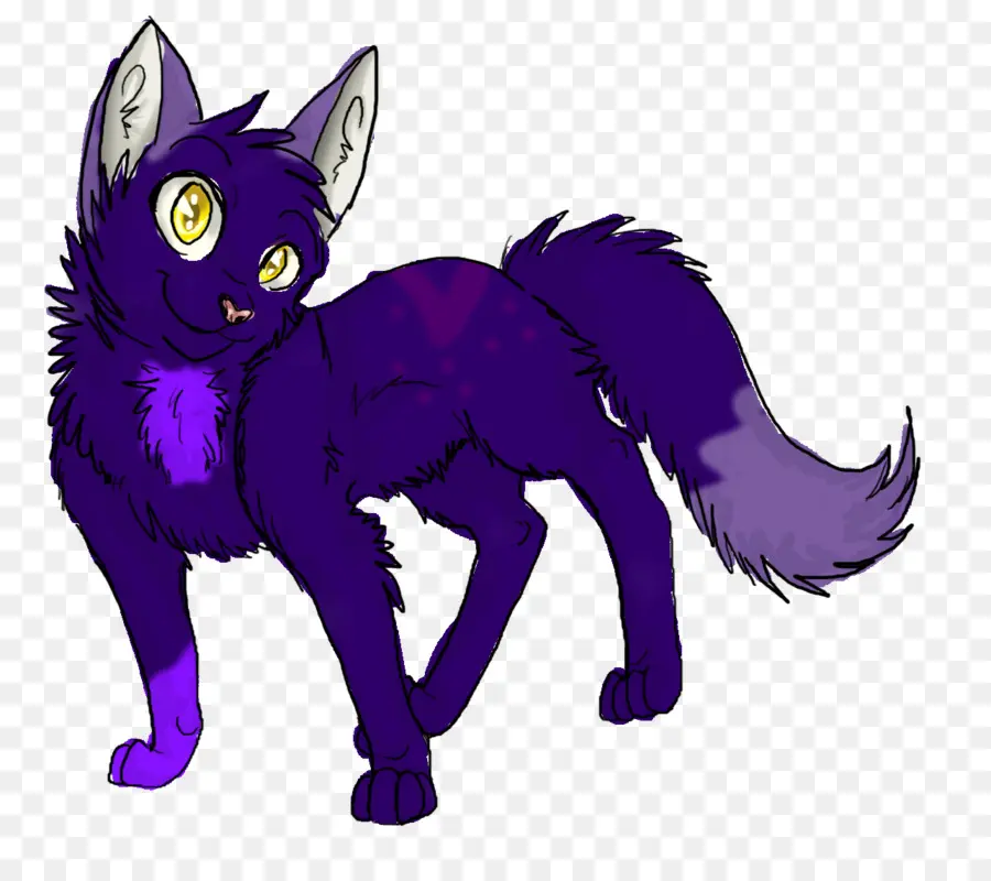 Gato Morado，Gato PNG