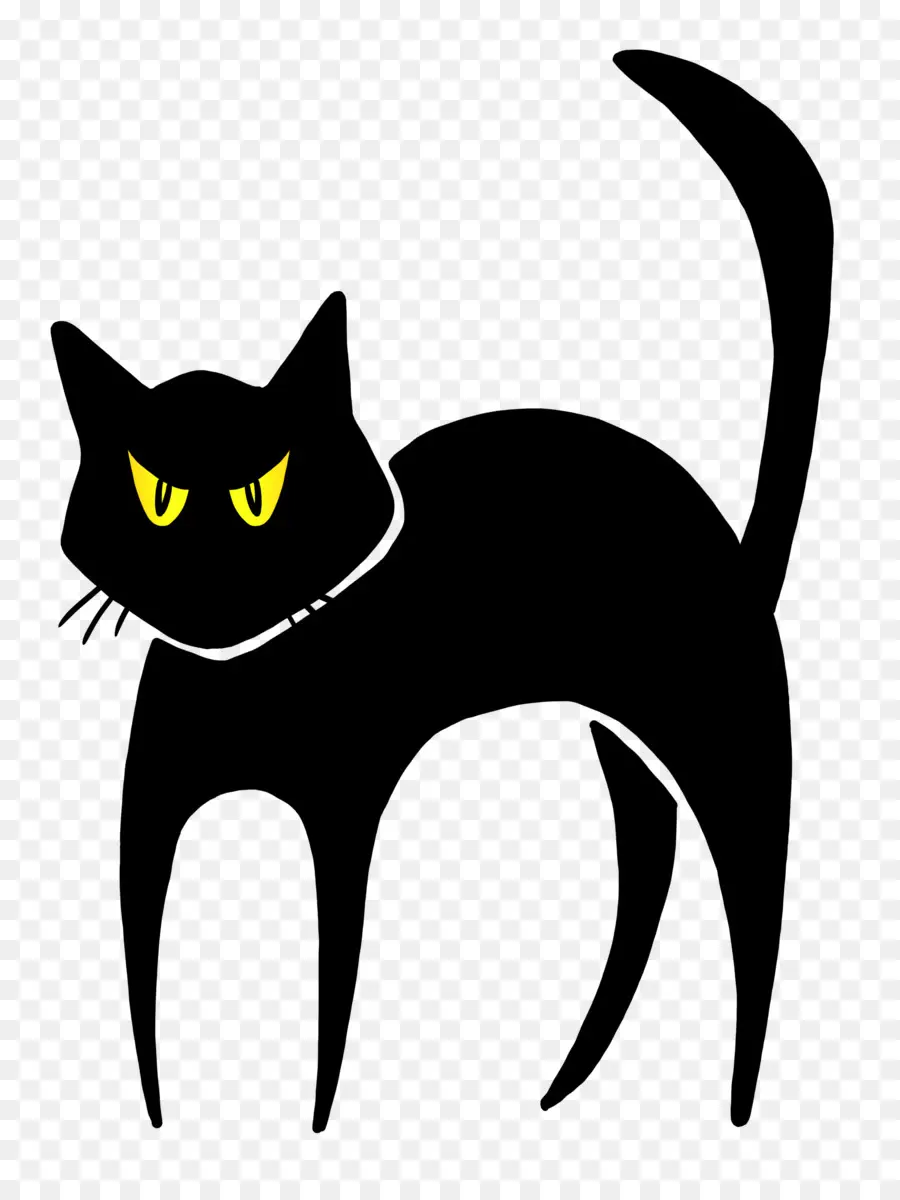 Gato Negro，Víspera De Todos Los Santos PNG