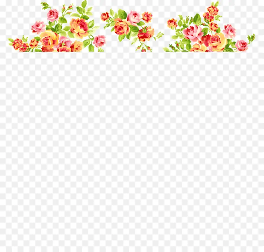 Borde Floral，Borde PNG