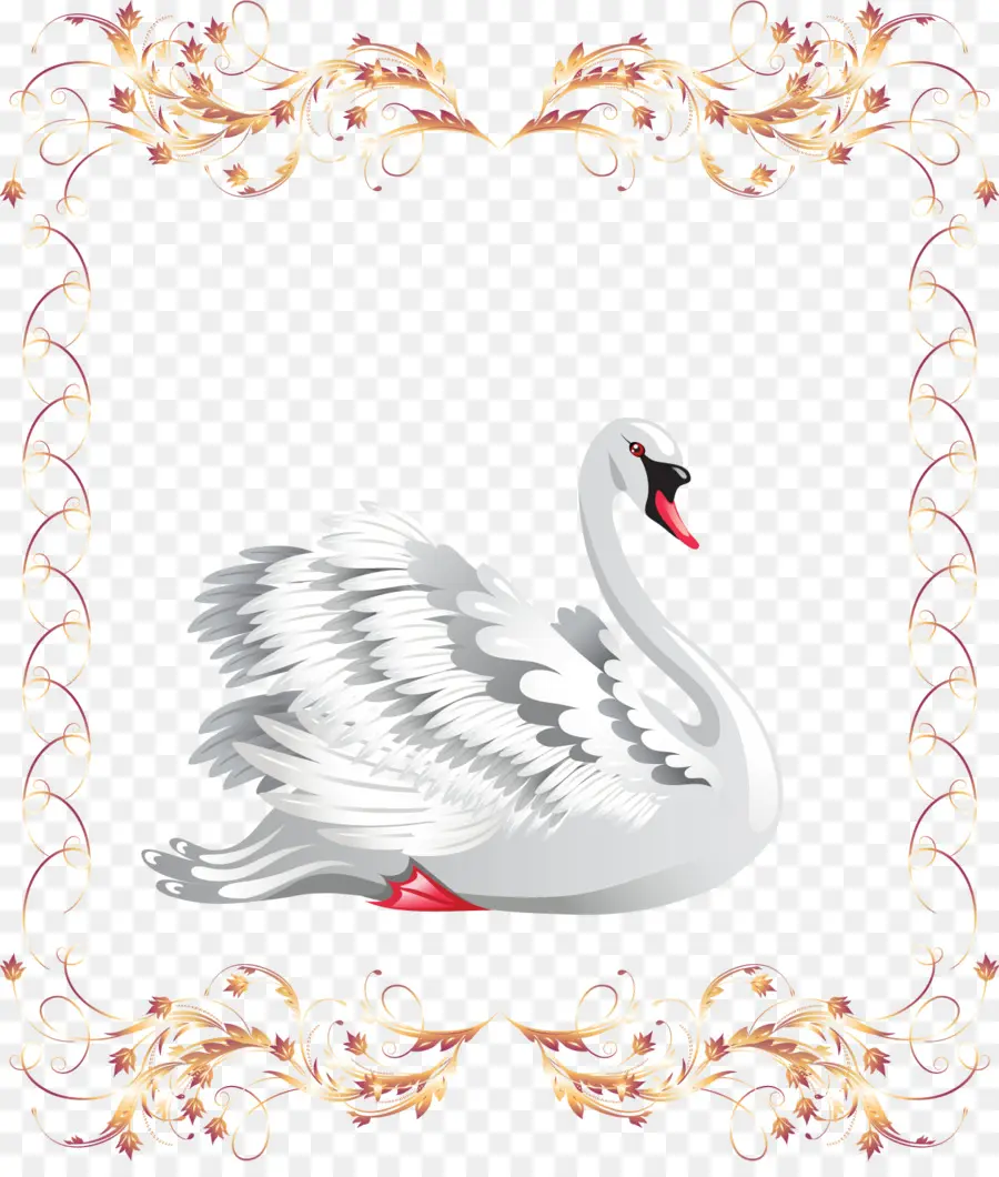 Cisne Negro，Día De San Valentín PNG