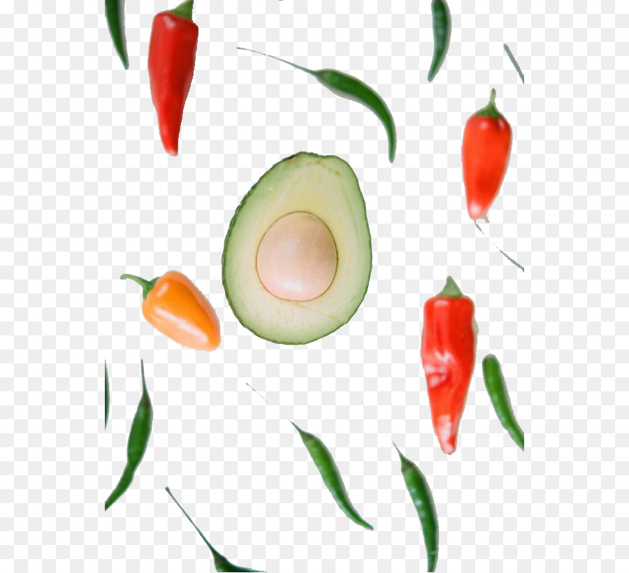 Palta，Pimiento PNG