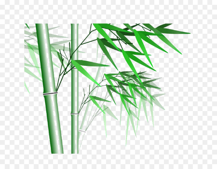 Bambú，La Televisión De Alta Definición PNG