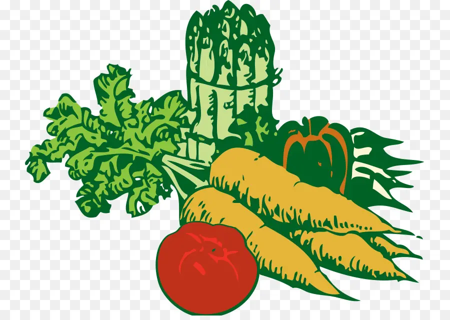 Verduras，Zanahorias PNG