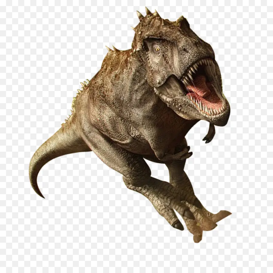 Tyrannosaurus，Parasaurolophus PNG