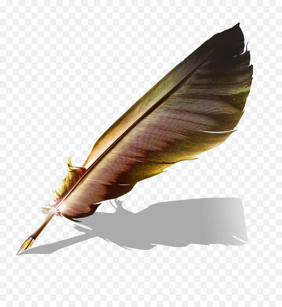 Papel，Pluma PNG