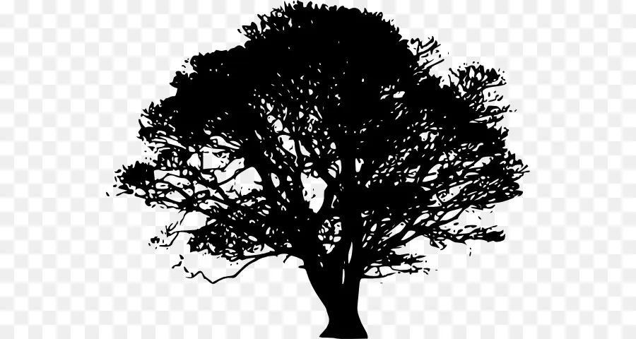 árbol，Silueta PNG