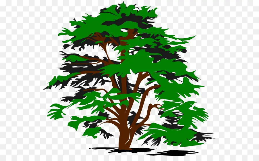 Árbol，Verde PNG