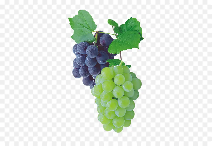 Uvas，Púrpura PNG