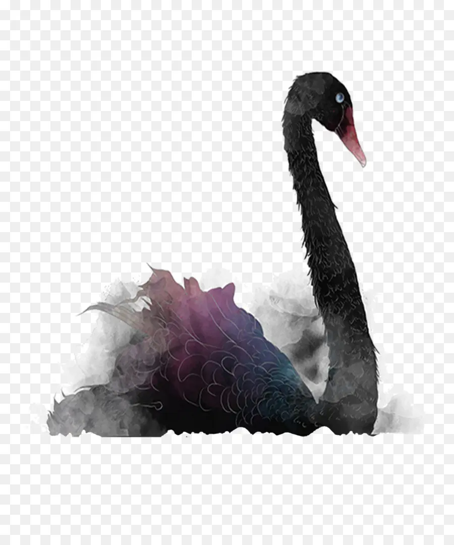 Cisne Negro，La Teoría Del Cisne Negro PNG