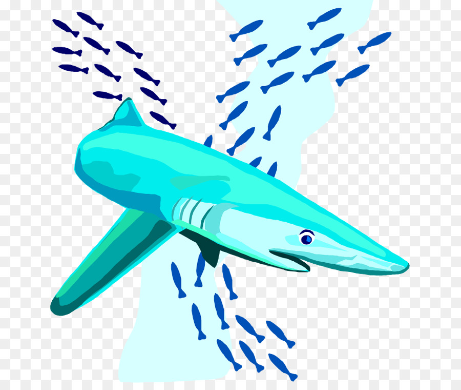 Tiburón，Libre De Contenido PNG