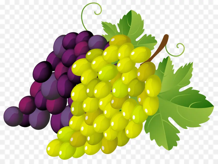 Vino，Común De La Uva De La Vid PNG