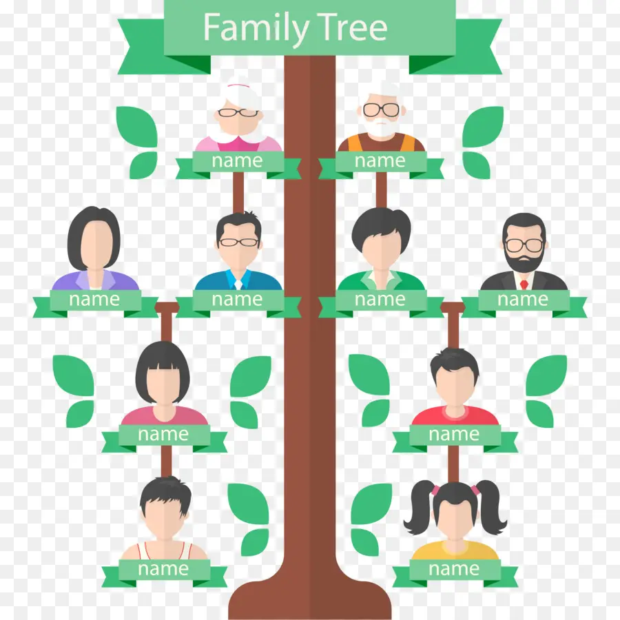 Árbol Genealógico，Genealogía PNG