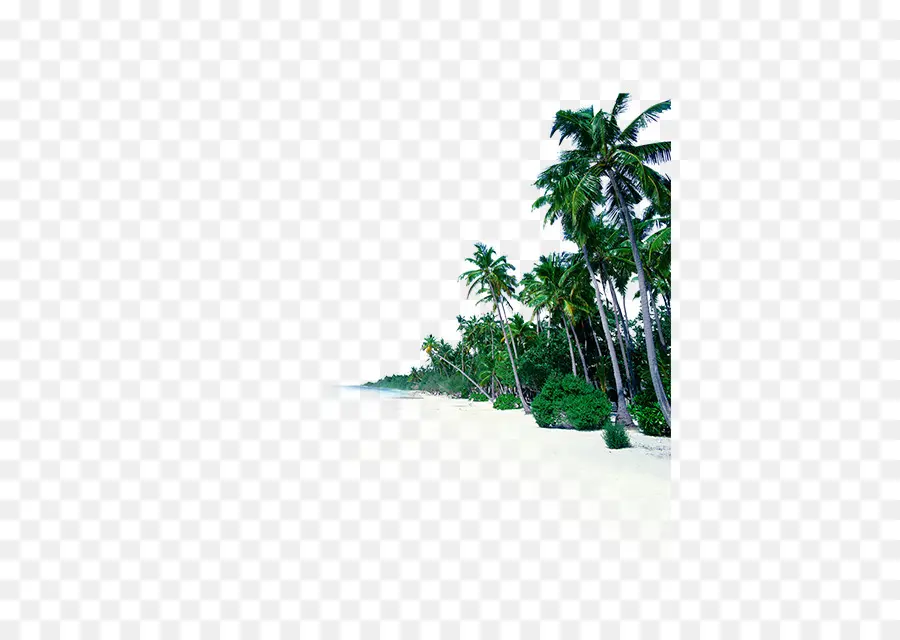 Mar，Costa PNG