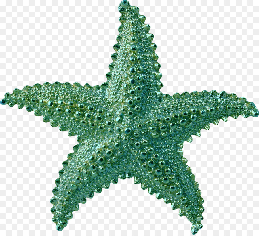 Estrella De Mar，Compresión De Datos PNG