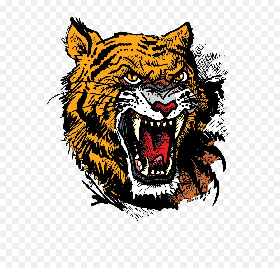 Tigre，Felidae PNG