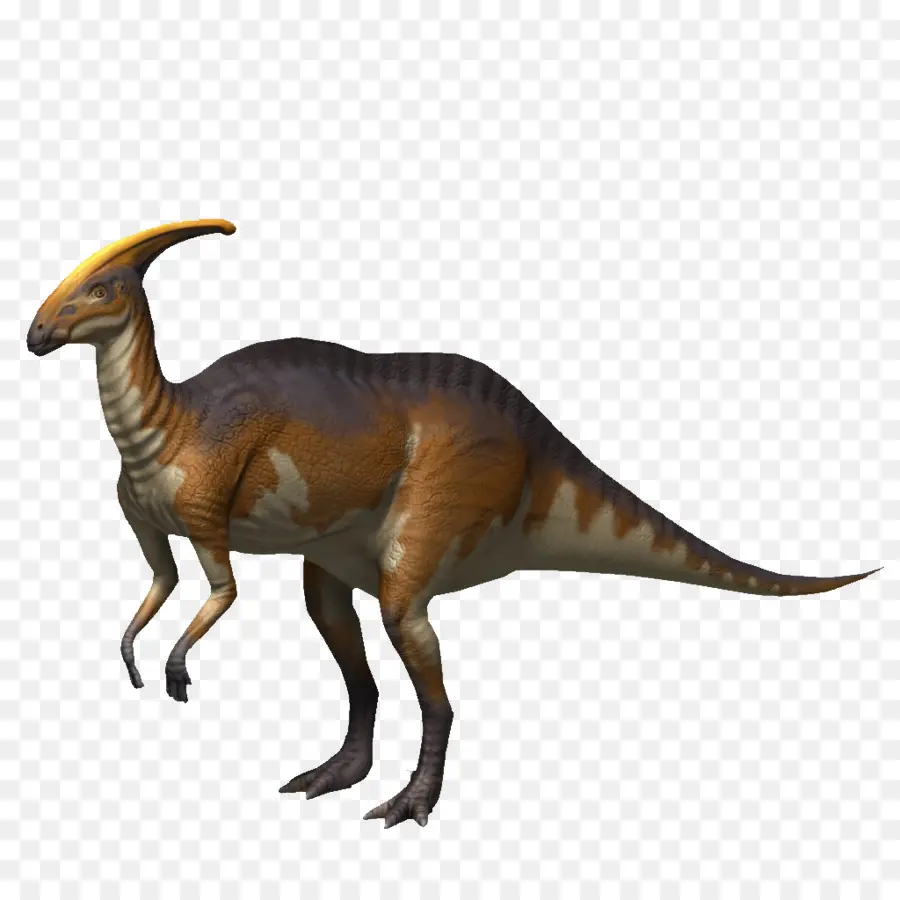 Maiasaura，Parasaurolophus PNG