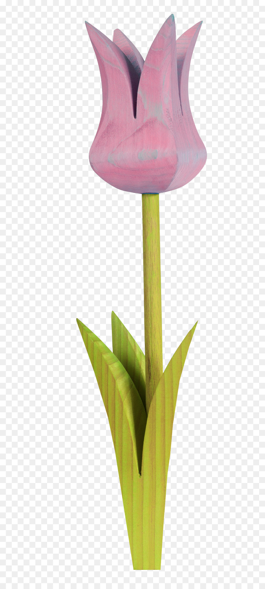 Tulipán，Púrpura PNG