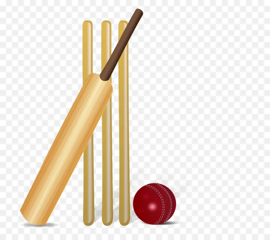 Bate De Cricket，Grillo PNG