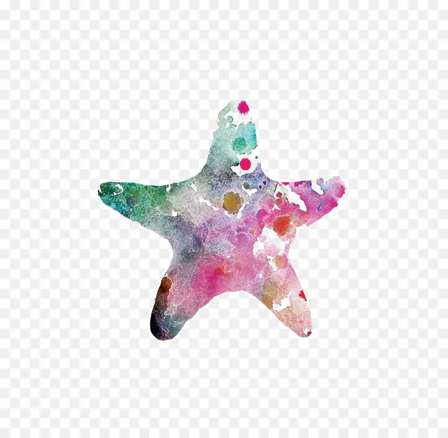Estrella De Mar，Pintura De Acuarela PNG