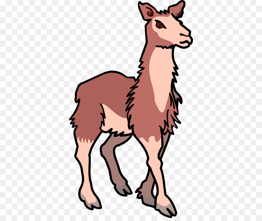 Llama，Mamífero PNG