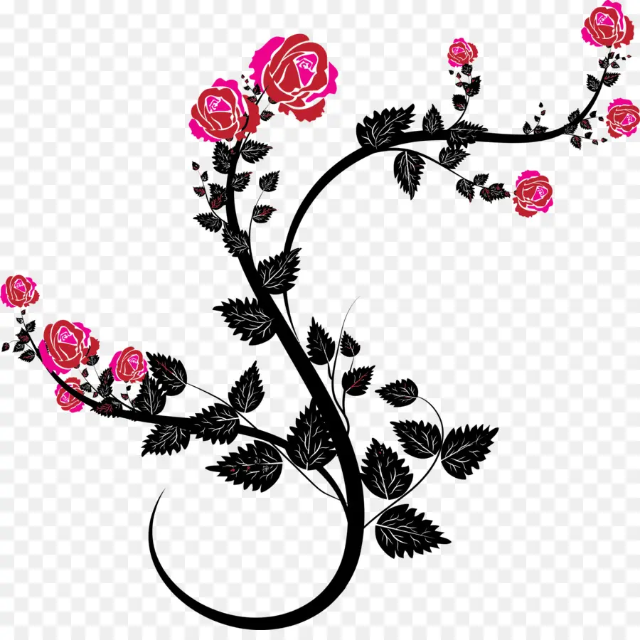 Rosas Rosadas，Hojas Negras PNG