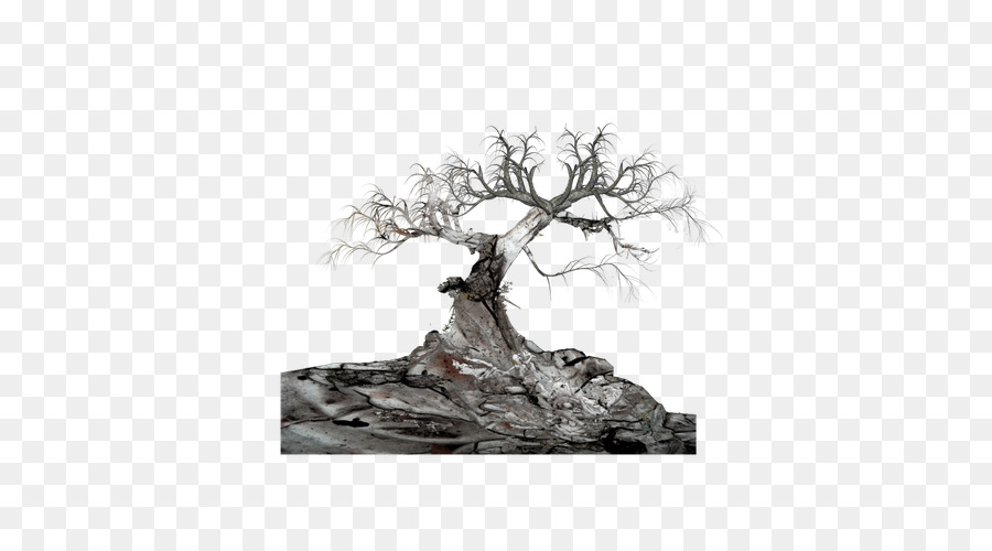 árbol，Alcance PNG